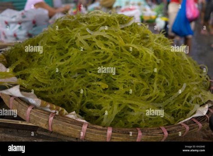 Where can I find seaweed in the Philippines?