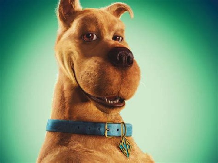 Where can I watch the real Scooby-Doo movie?