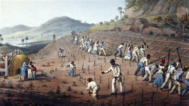 Where did slaves from Martinique come from?