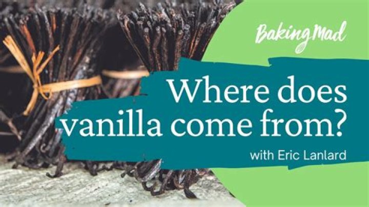 Where did vanilla originally come from?