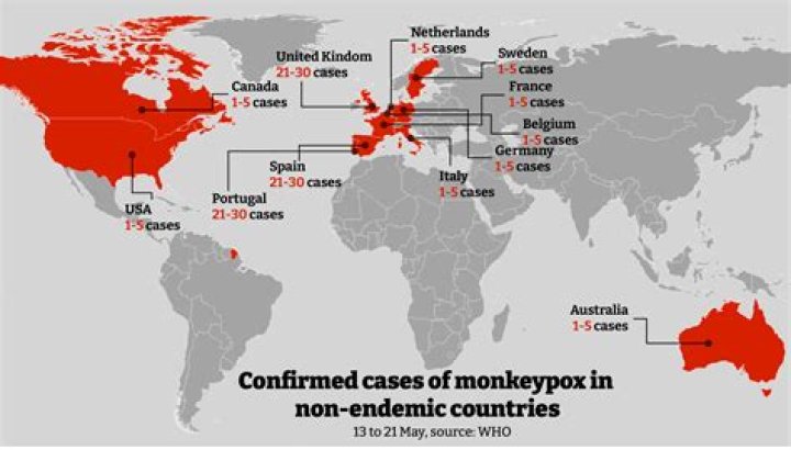 Where is Monkey Land in South Africa?