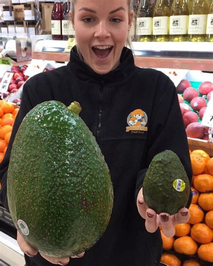 Where is the Avozilla from?