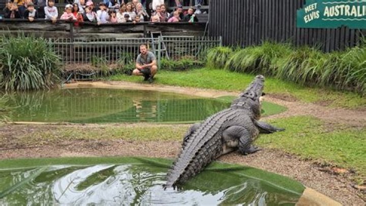 Where is the Reptile Park in Sydney?