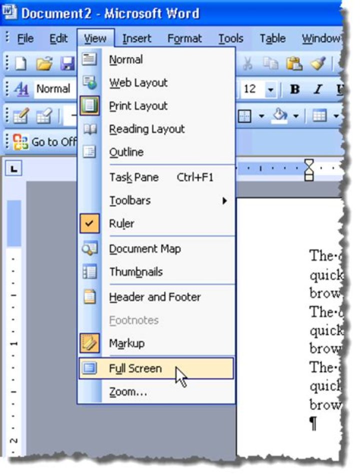 Where is the View menu in Microsoft Word?