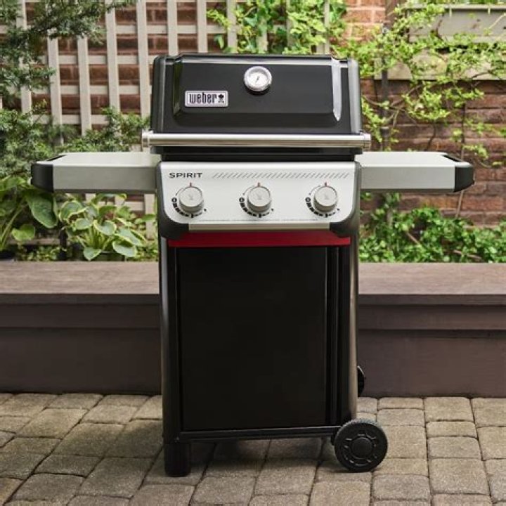 Where is Weber E 310 made?