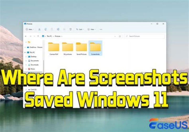 Where screenshots are saved in Kali Linux?