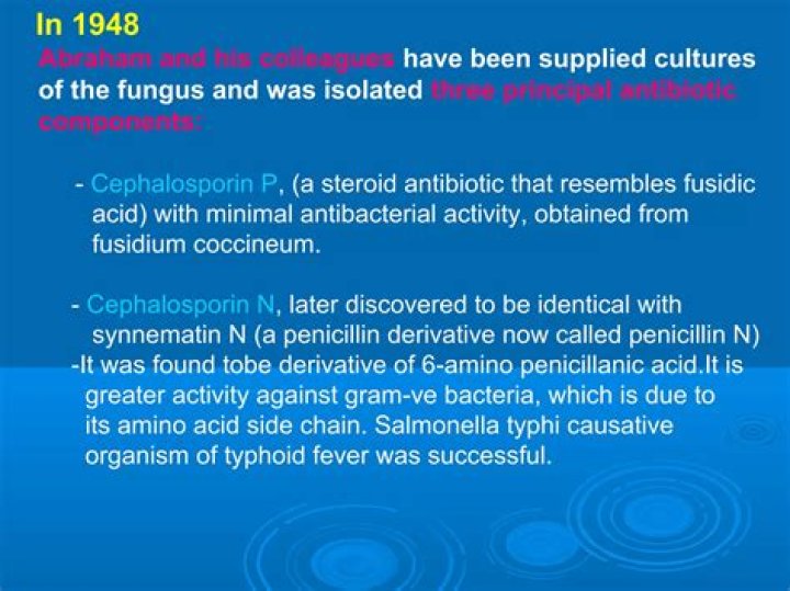 Where was cephalosporin discovered?
