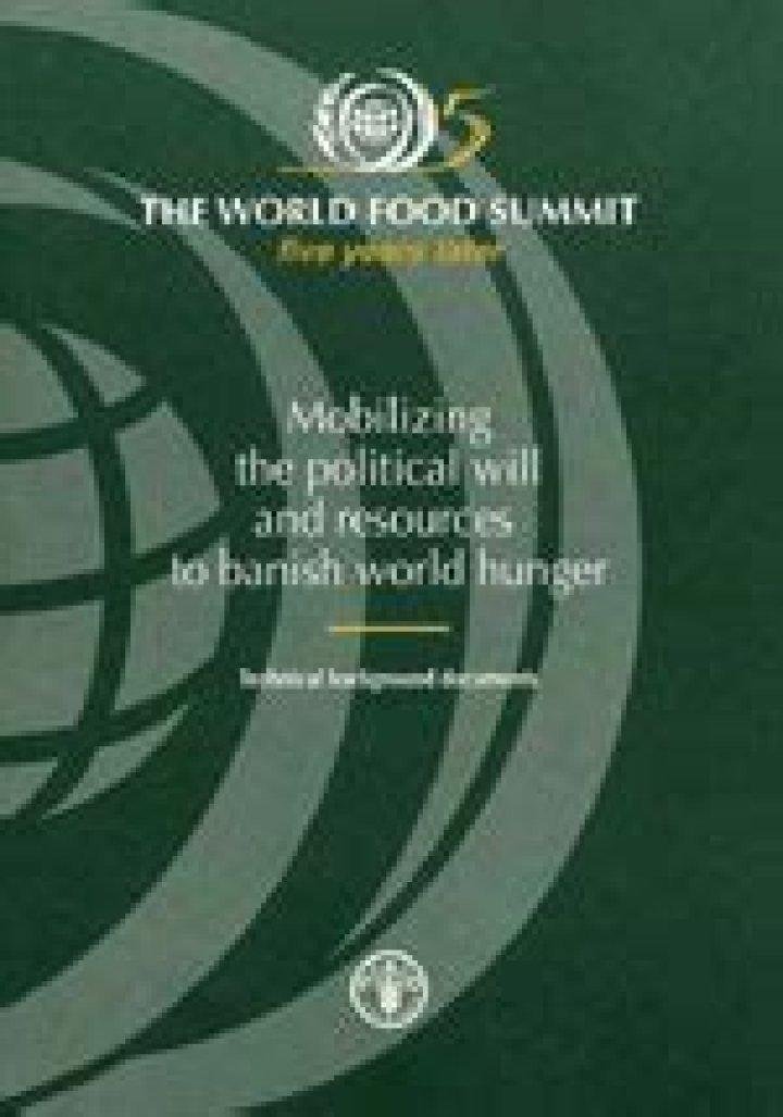Where was the first World Food Summit on food security held?