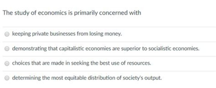 Which activity does economics primarily study quizlet?