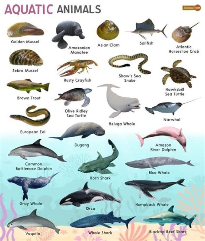 Which animal has the cleanest tongue?