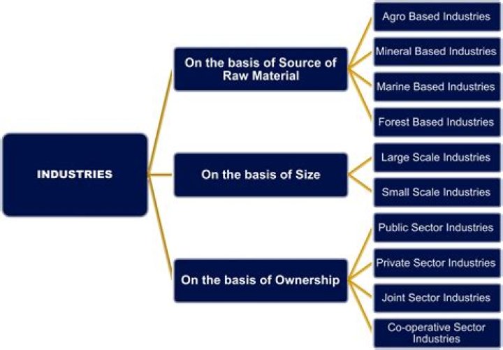 Which are the types of industries based on raw material?