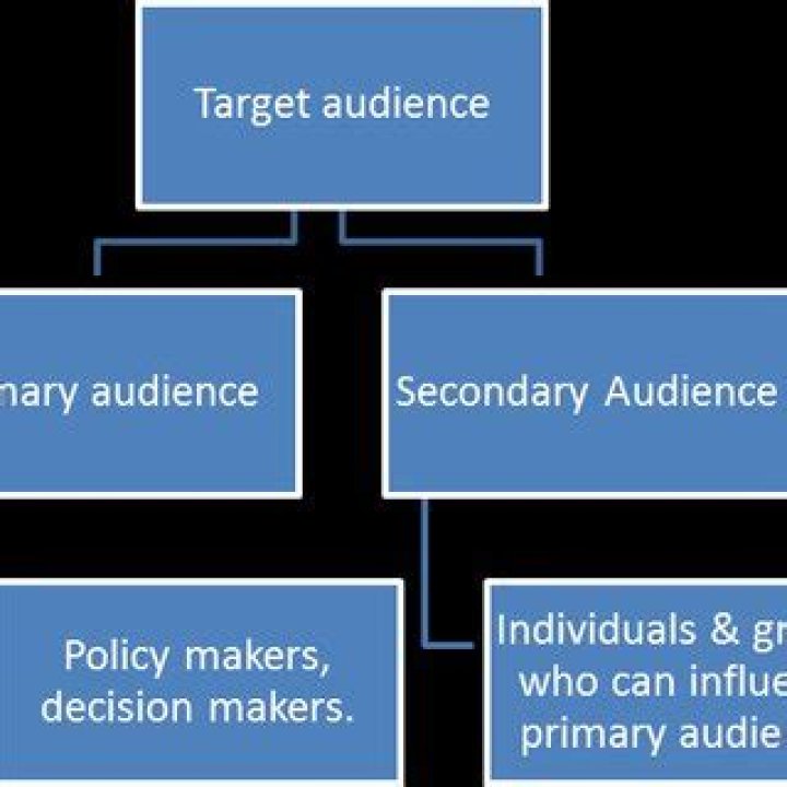Which audience has political social or economic power pays close attention to the transaction between you and the primary audience and may base future actions on its evaluation of your message?