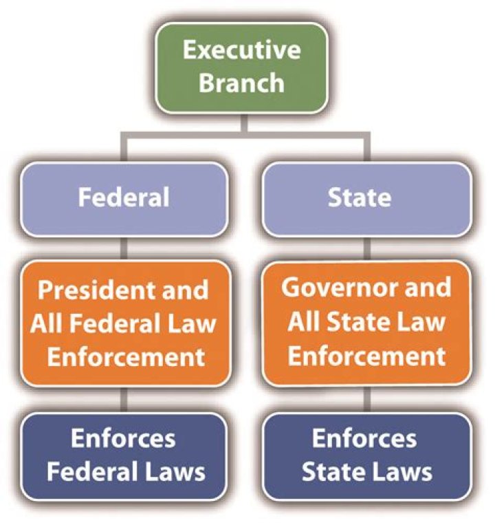 Which branch can appoint ambassadors and diplomats?