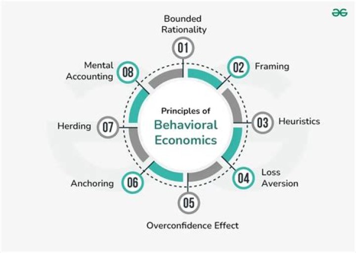 Which branch of economics focuses on how human behavior?