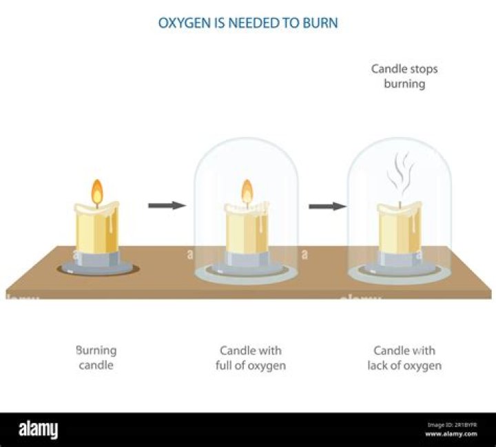 Which candles last the longest?