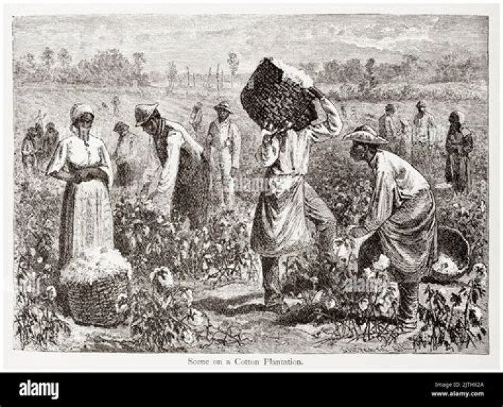 Which colonial social group worked as craftsmen in towns and on plantations?