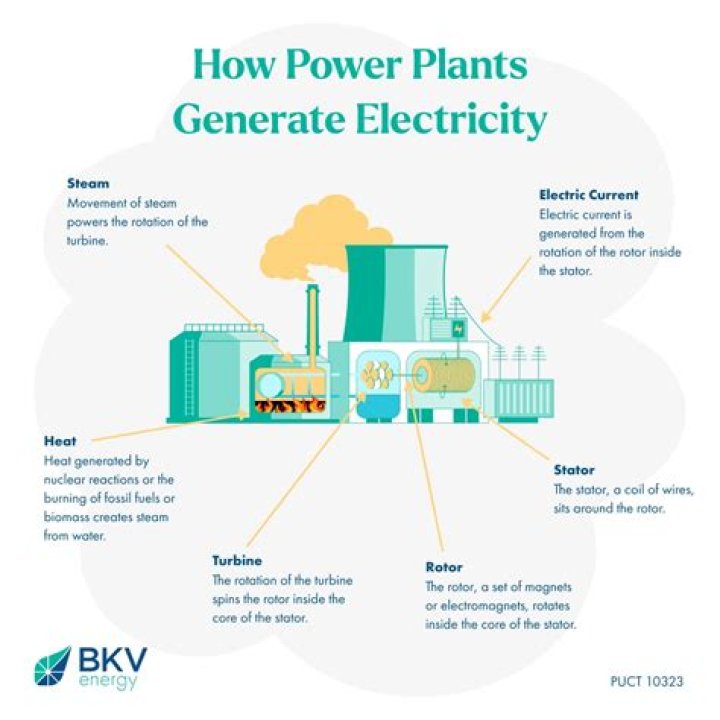 Which company produce power oil?