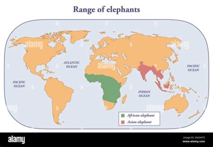 Which country has most Asian elephants?