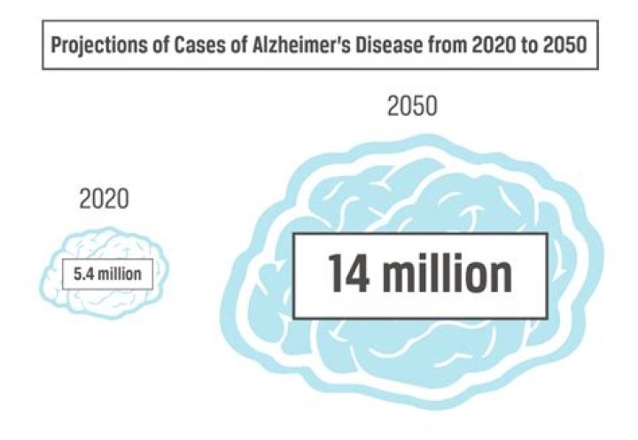 Which country has the highest rate of Alzheimer disease?