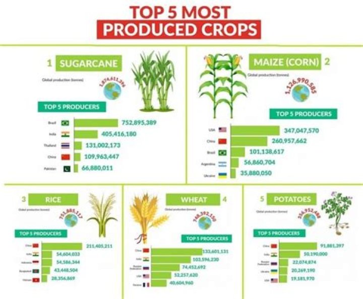 Which crops were important to the Southern economy?