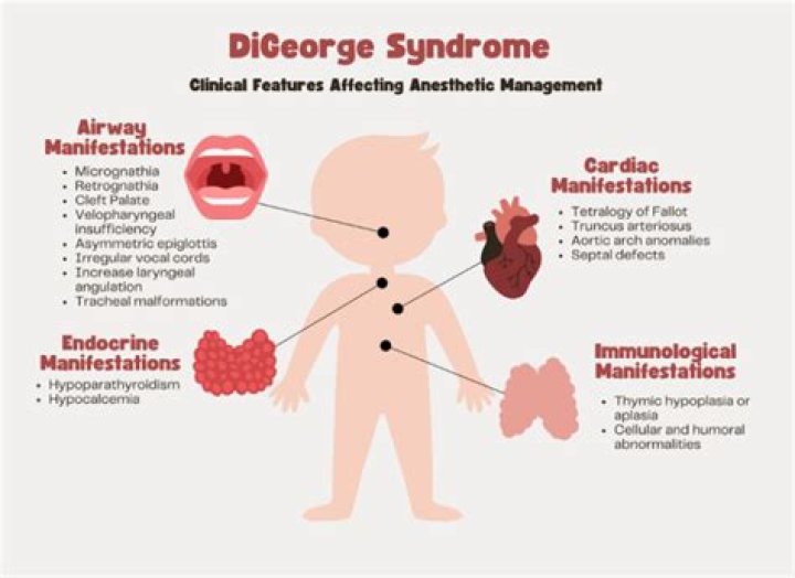 Which deletion is the most common abnormality of patients with DiGeorge syndrome?