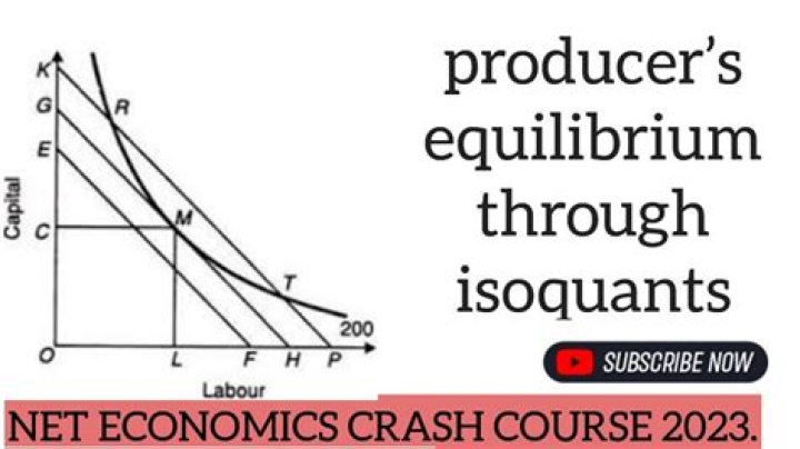 Which describes the economic role played by a producer?
