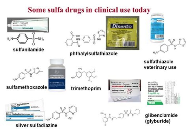 Which drugs are sulfa drugs?