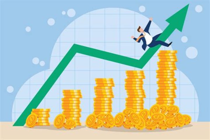 Which economic system invests money in businesses in hopes of making a profit?