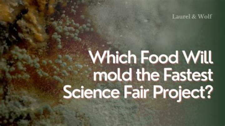 Which food rots the fastest science project?