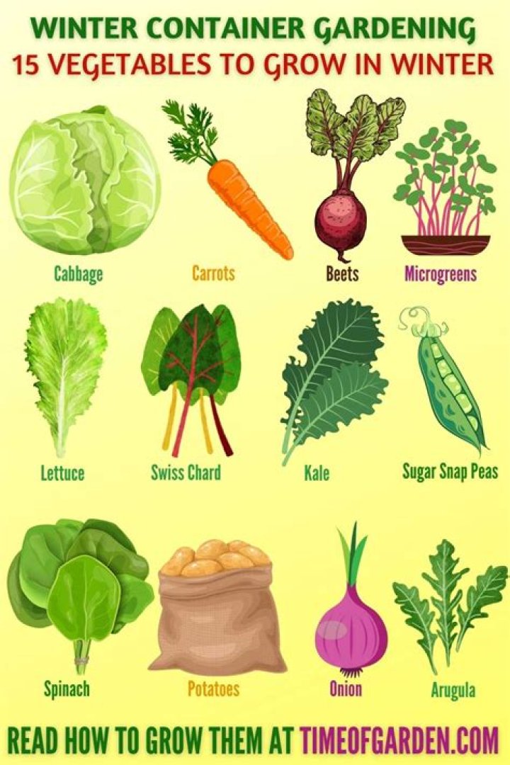 Which garden crops do well in winter?