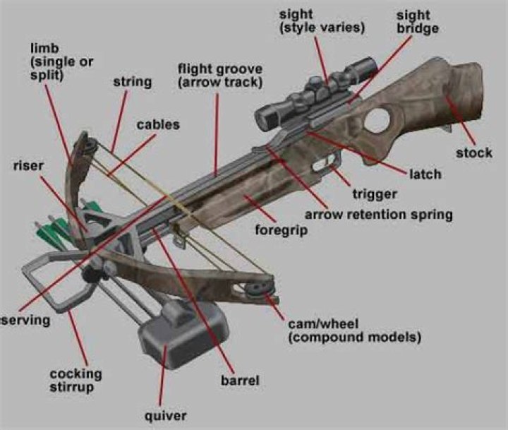 Which guideline for using bows is unique to the crossbow?