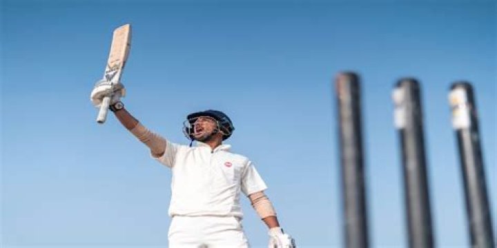 Which handle is best for cricket bat?