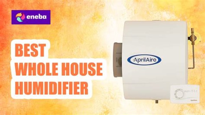 Which humidifier is best?
