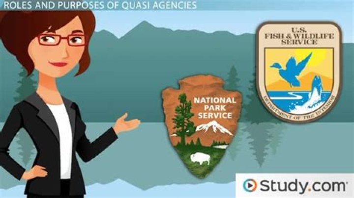 Which is an example of a quasi-governmental organization?