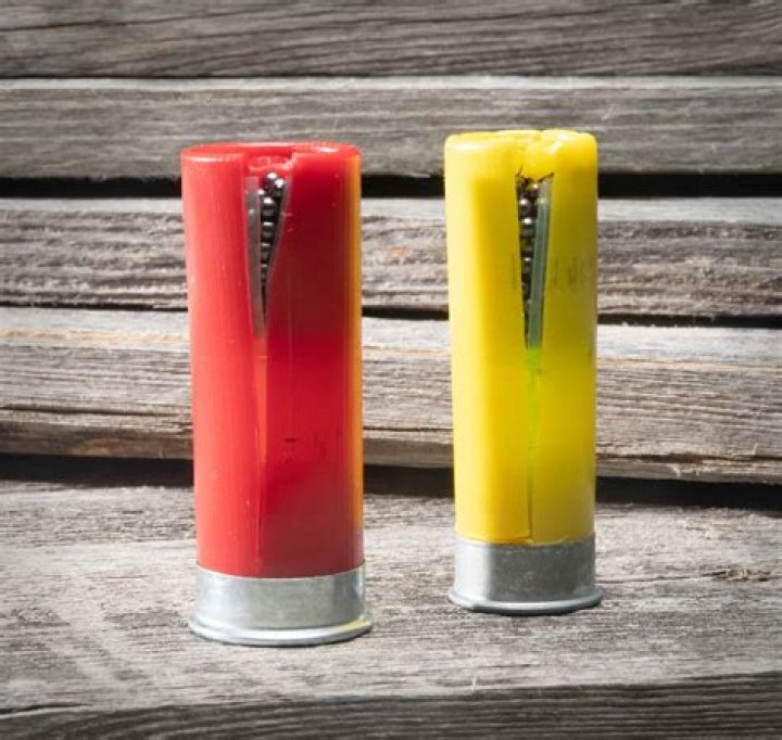 Which is better 12 or 20 gauge shotgun?