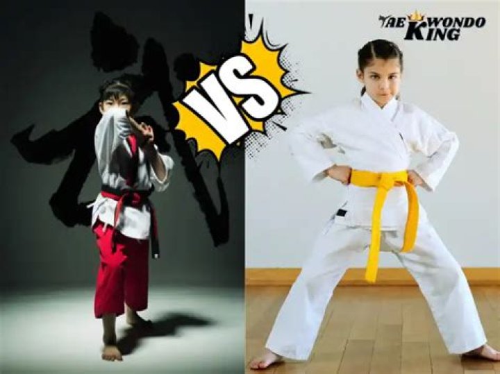 Which is better taekwondo or karate?