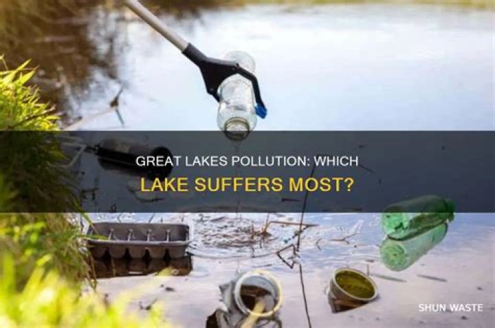 Which lakes have the most pollution?