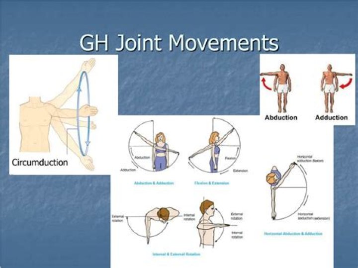 Which movements occur at the GH joint?