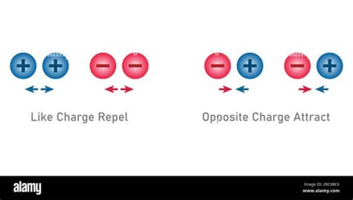 Which of the particles has a positive charge?