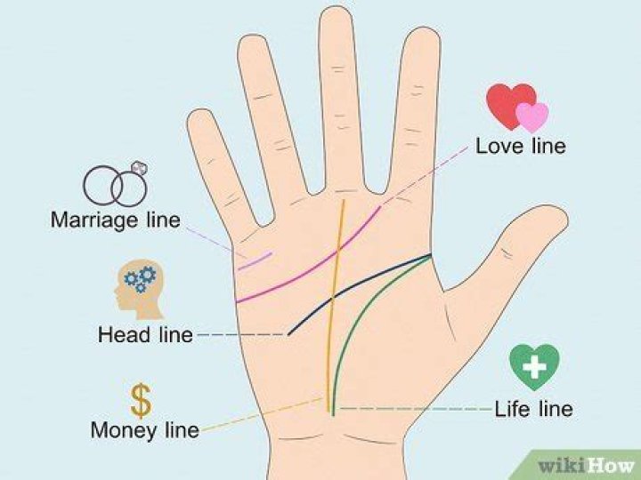Which Palm line means love?