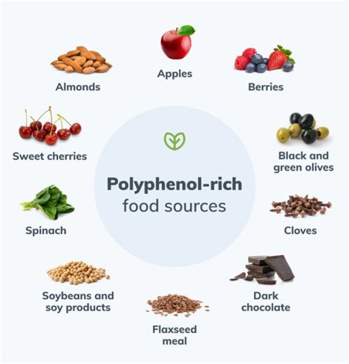 Which red wine has the highest polyphenols?