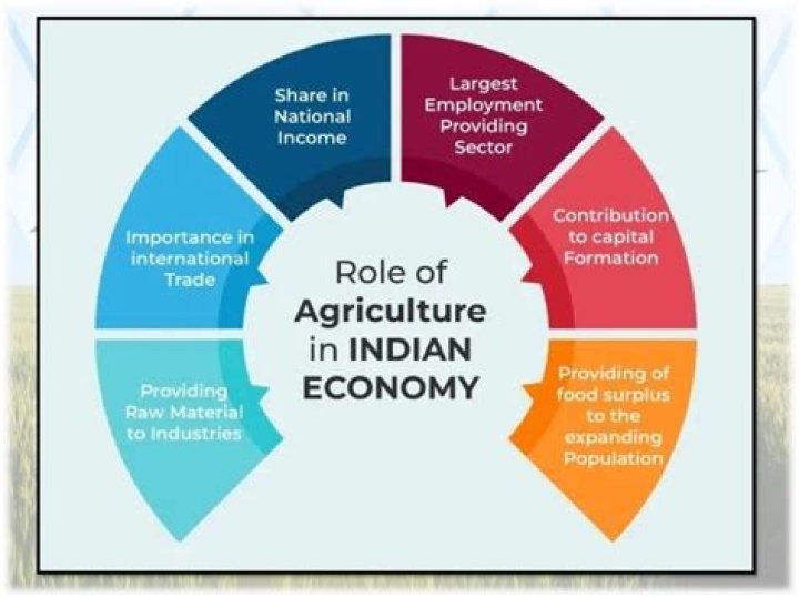 Which sector is known as backbone of Indian economy?