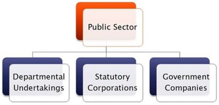 Which sectors are classified into public and private sector?