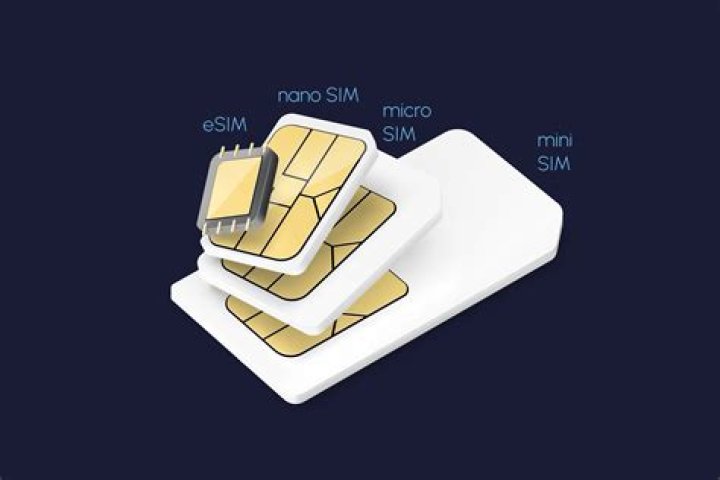 Which SIM card works all over the world?