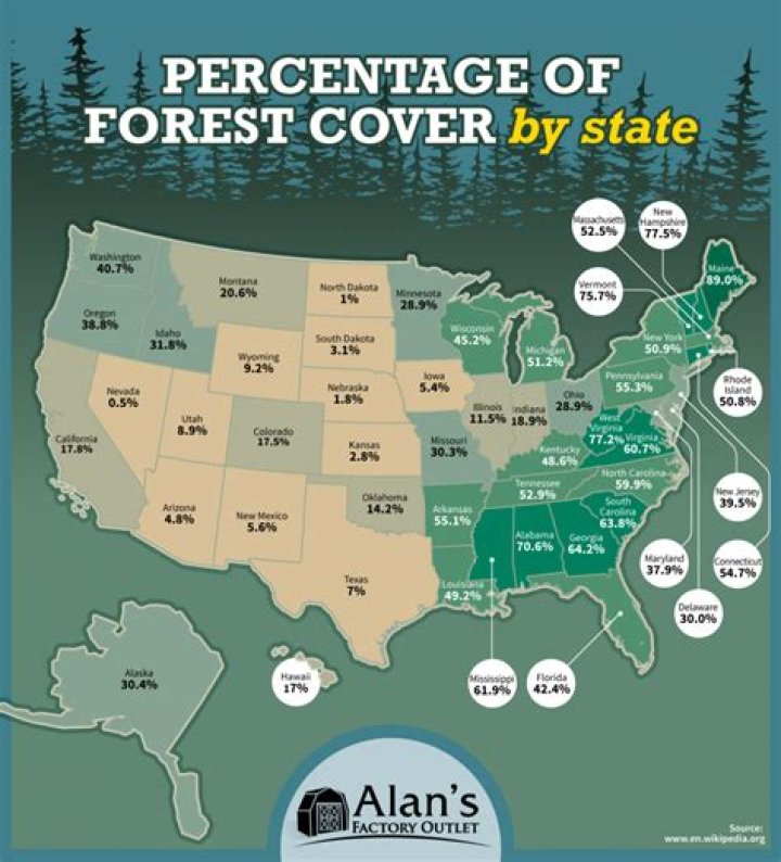 Which state has the most forest in us?