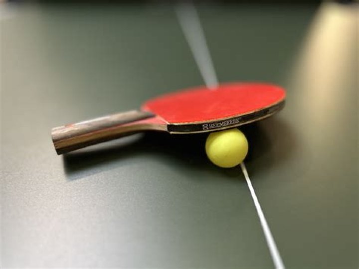 Which table tennis bat is the best?