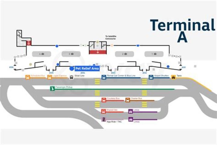 Which terminal is Spirit Airlines at Logan Airport?