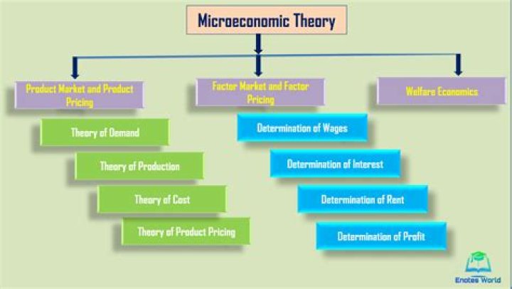 Which theory is example of microeconomic theory?
