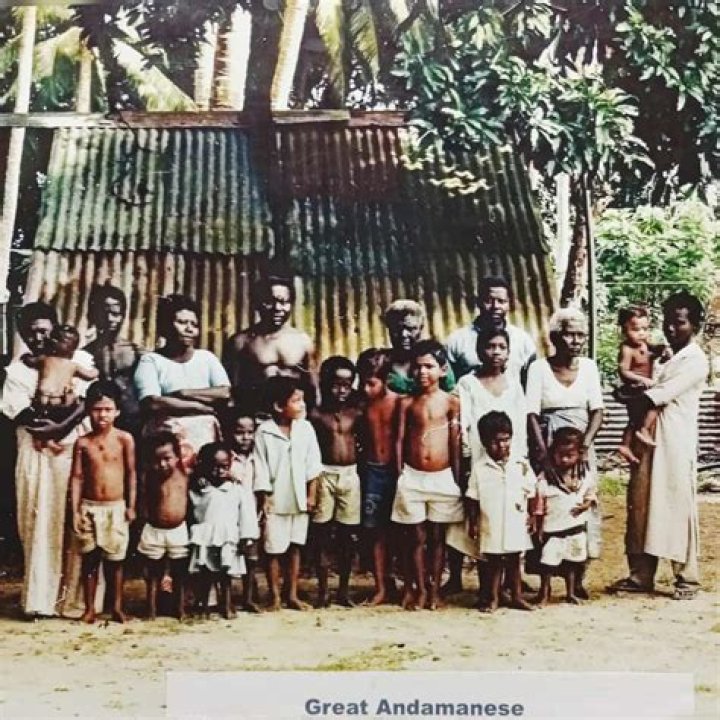 Which tribe is native of Andaman Islands?