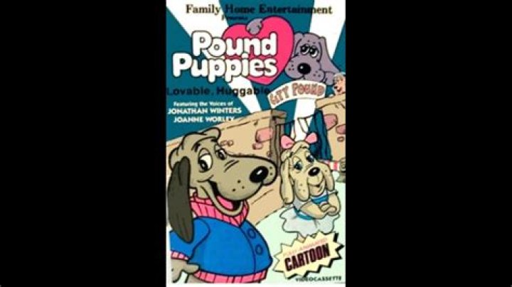 Who are the actors in the movie Pound Puppies?